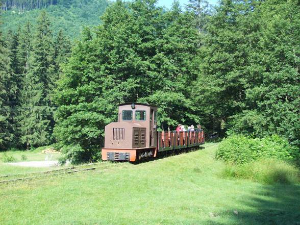 Parcursuri de agrement pe linia ingusta COVASNA 8 iulie, locomotiva anunt