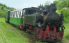 Deschide album caleingusta.gif